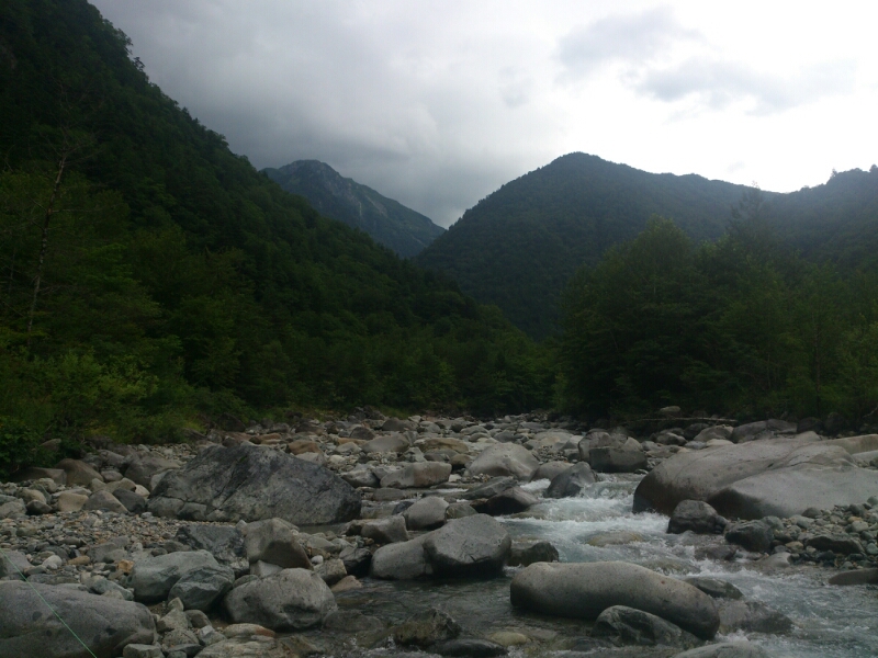 f0266202_2073121.jpg