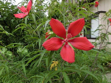 a0203003_17244768.jpg