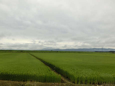 a0203003_17261329.jpg
