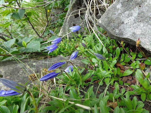 b0326303_09170136.jpg