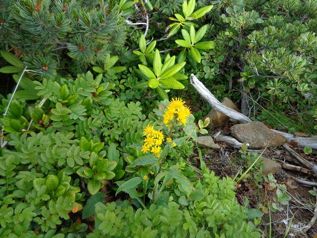 b0326303_09171106.jpg