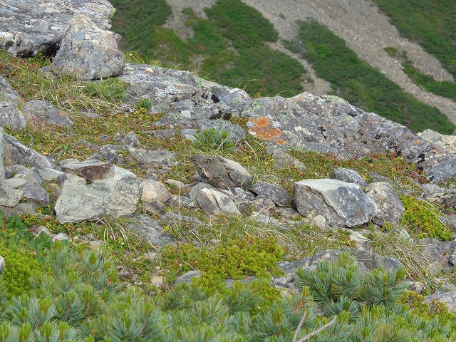 b0326303_09183254.jpg