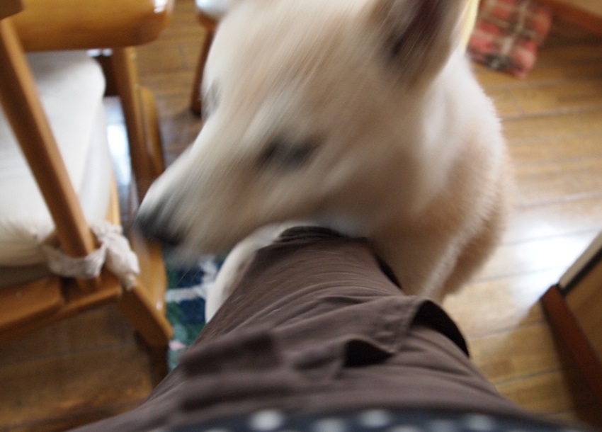 e0131506_11211118.jpg