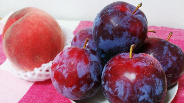 c0317717_23012635.jpg