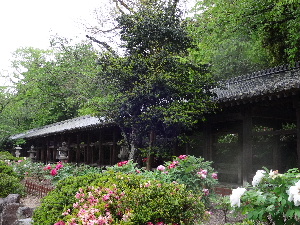 a0157619_20391036.jpg