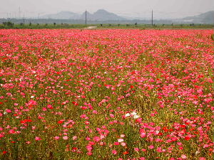 a0157619_21572148.jpg