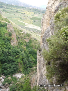 c0039428_15065813.jpg