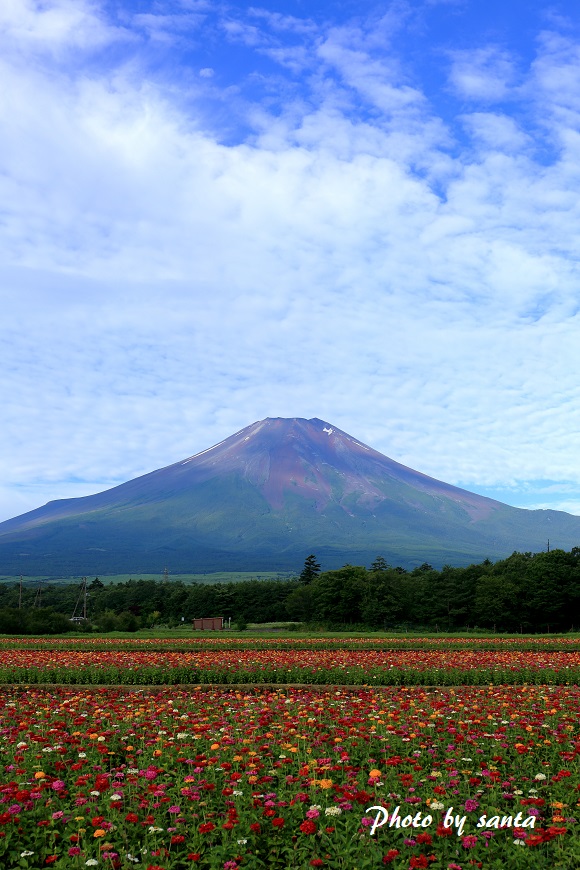 世界遺産　赤富士　2014　山中湖_c0201929_17333834.jpg