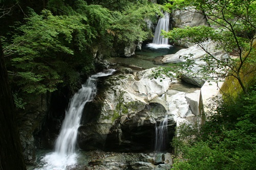 e0033229_222824.jpg