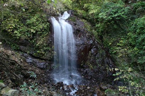 e0033229_22412476.jpg