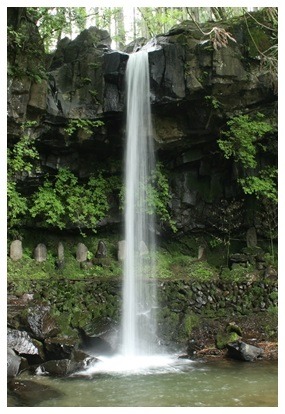 e0033229_224381.jpg