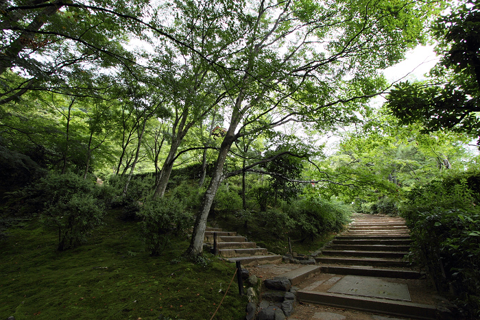 嵯峨野・晩夏 －常寂光寺－_b0169330_17323293.jpg