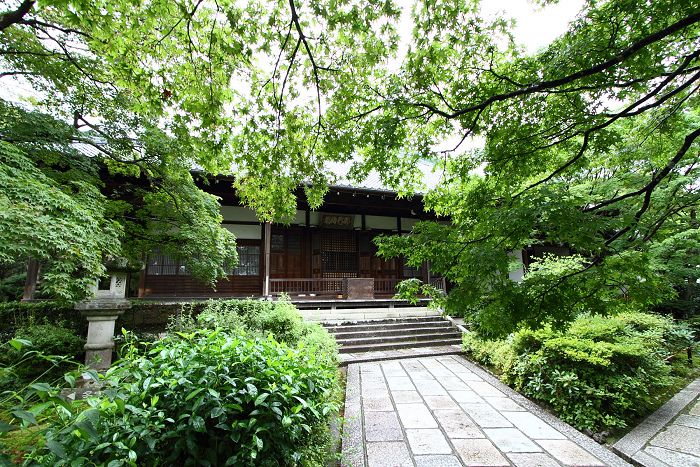 嵯峨野・晩夏 －常寂光寺－_b0169330_1732674.jpg