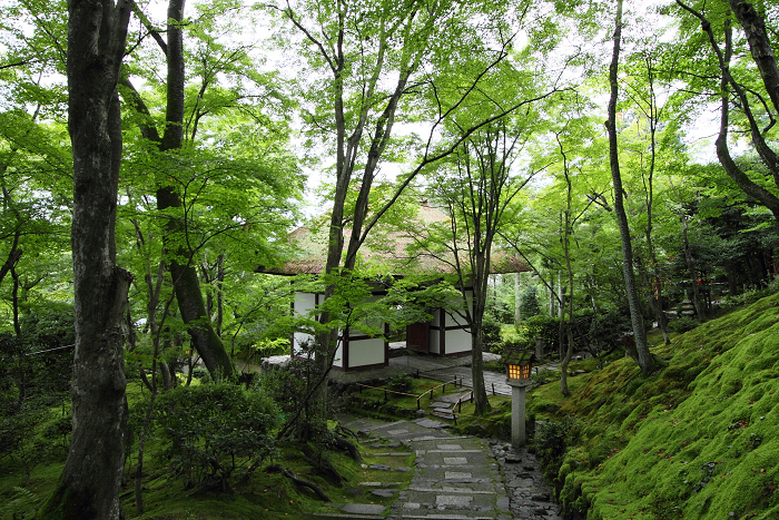 嵯峨野・晩夏 －常寂光寺－_b0169330_1738780.jpg