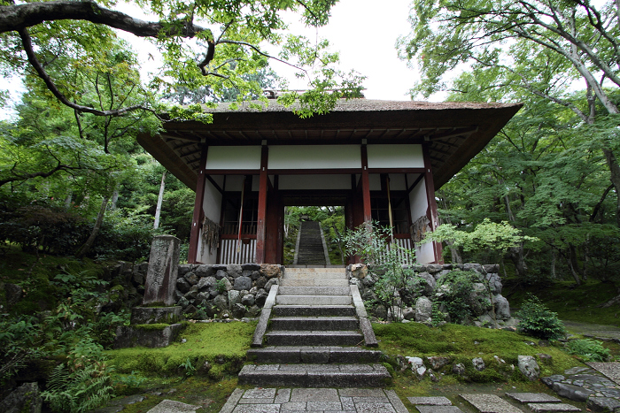 嵯峨野・晩夏 －常寂光寺－_b0169330_824497.jpg