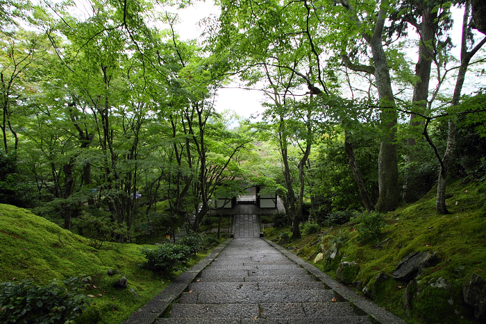 嵯峨野・晩夏 －常寂光寺－_b0169330_8402571.jpg