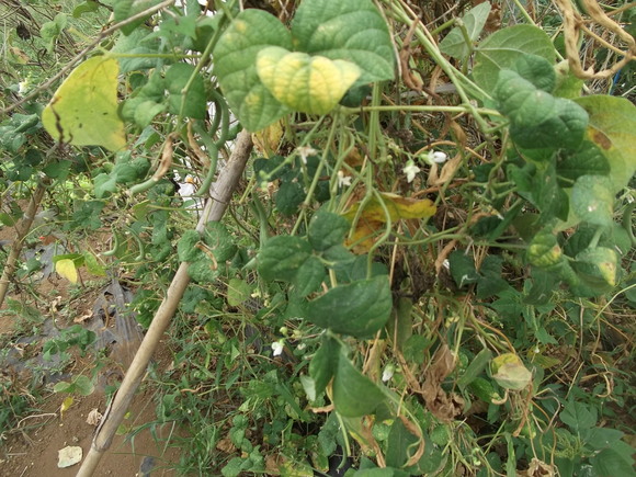b0137932_120145.jpg