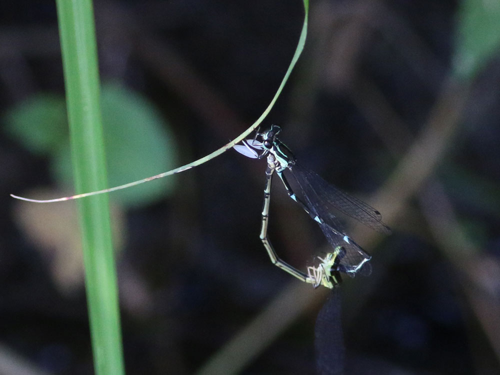 c0306638_117691.jpg