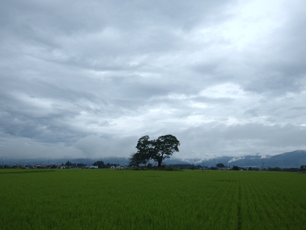 a0014840_23581399.jpg