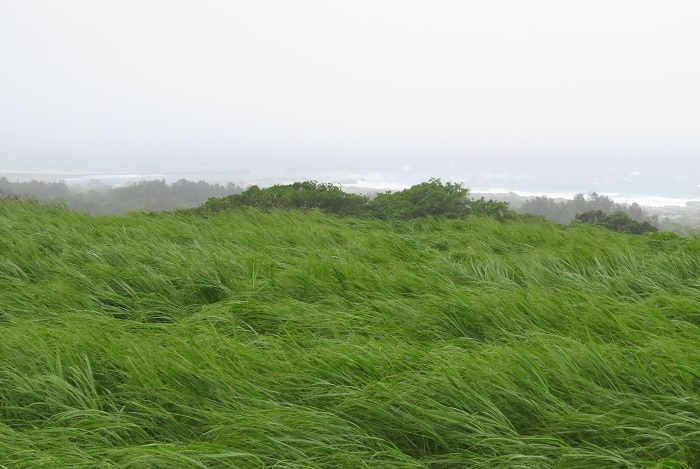 b0288942_9481847.jpg