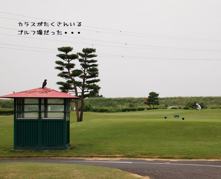 f0224347_19203405.jpg