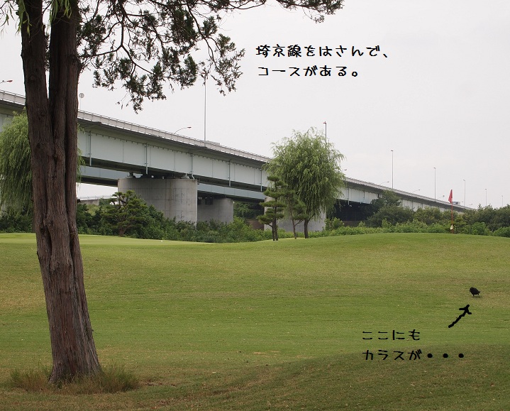f0224347_19332918.jpg