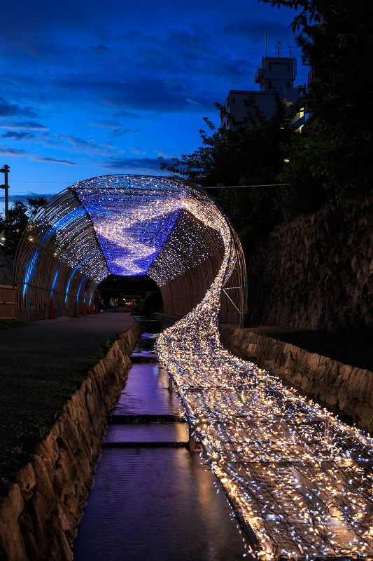 京の七夕 14 堀川会場 花景色 K W C Photoblog