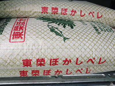 ザ・みかん 夏の草刈りと摘果前の果実の様子(2020)_a0254656_18155751.jpg