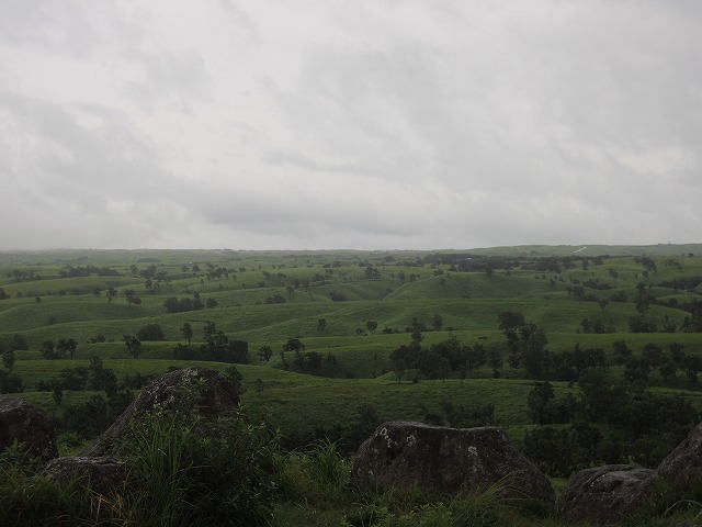 c0130060_20453414.jpg