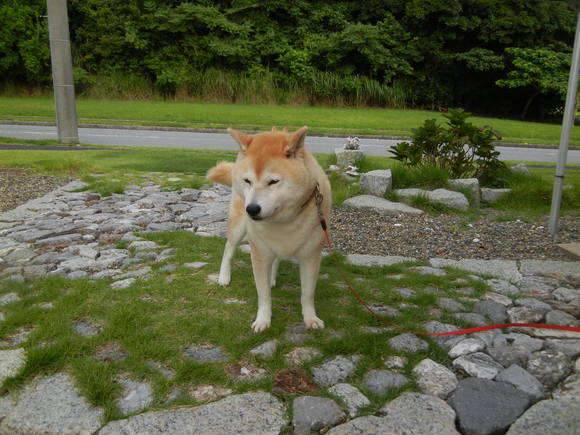 ’14,8,9(土)台風が接近中です!_f0060461_10292388.jpg