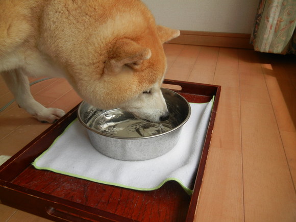 ’14,8,9(土)台風が接近中です!_f0060461_10311884.jpg