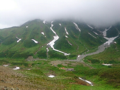 d0110562_13553659.jpg