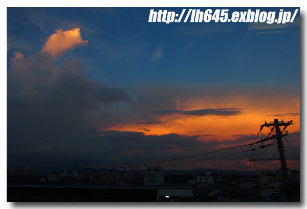 台風11号に警戒 井上二郎アナの安定感 O D G Powered By Lh645