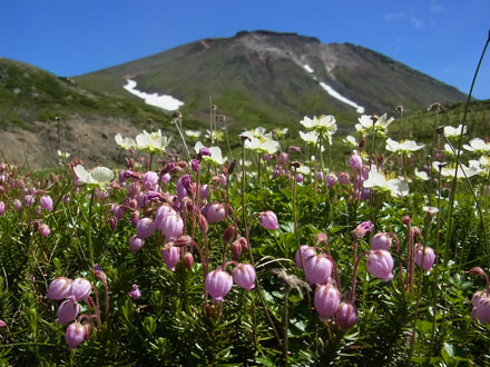 f0083977_10104739.jpg