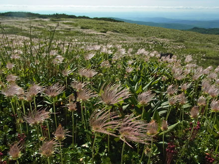 f0083977_1012626.jpg