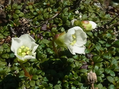f0083977_1065347.jpg