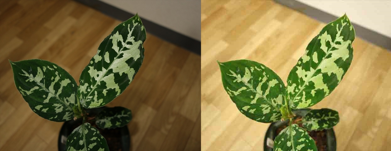 フラッシュ詐欺_a0067578_1443264.jpg
