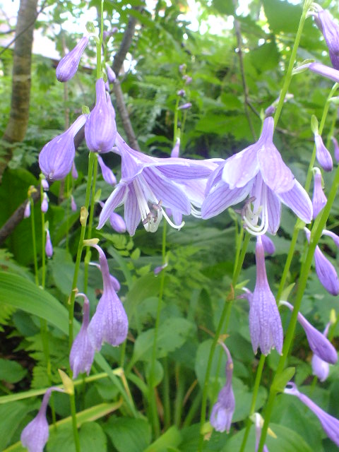 e0145782_8484881.jpg