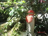 a0185783_1646071.jpg