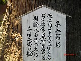 a0185783_1733294.jpg