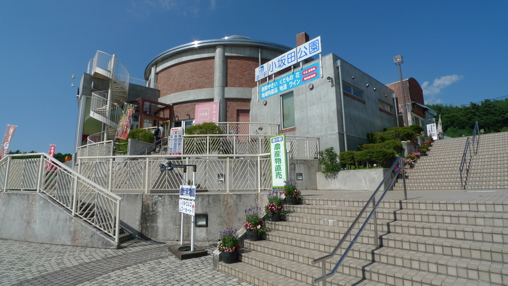 c0212083_12555080.jpg