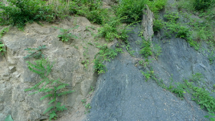 c0212083_13441582.jpg