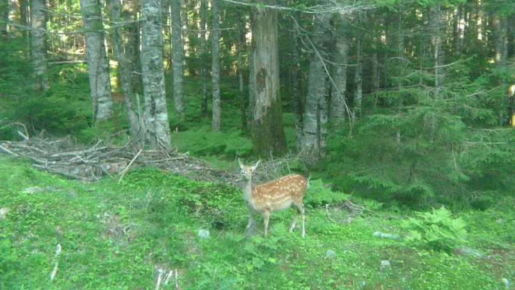 c0212083_1415642.jpg