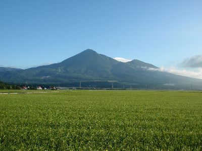 行ってらっしゃい_a0096989_11452113.jpg