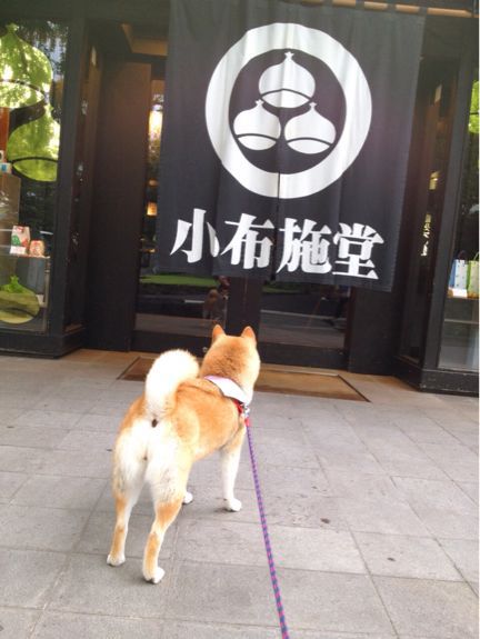 小布施にて_a0126590_12582282.jpg