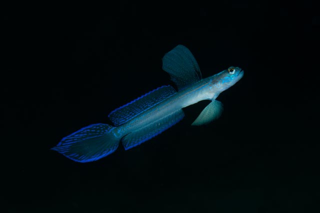 e0064291_12153928.jpg