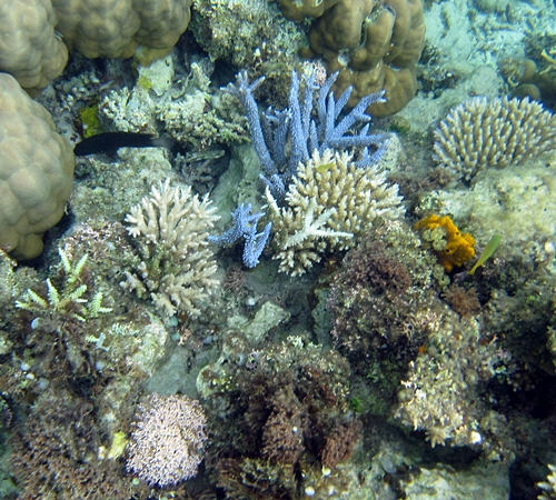 d0103292_22211010.jpg