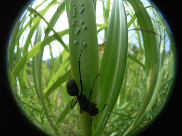 c0049095_022566.jpg