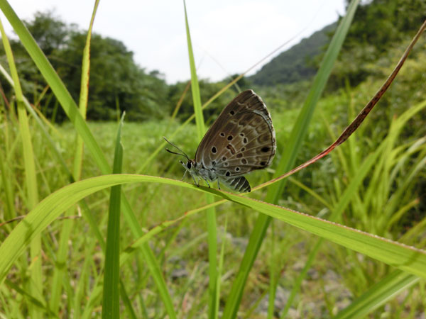 c0049095_0233115.jpg