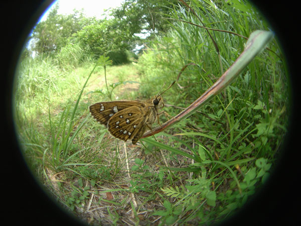 c0049095_0272454.jpg